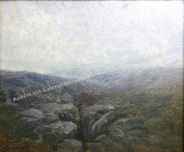 detail