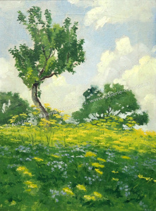 detail