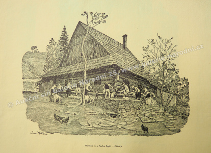 detail