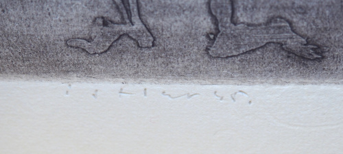 detail