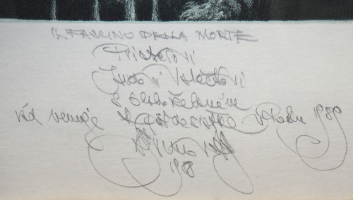 detail