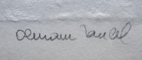 detail