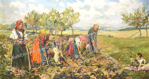 detail