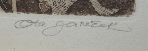 detail