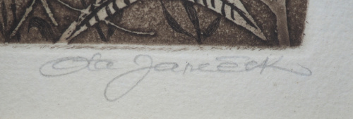detail