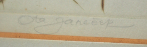 detail