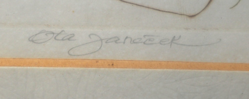 detail