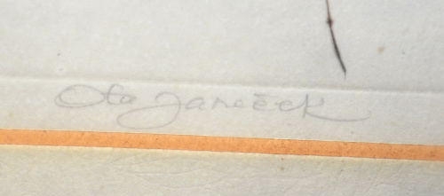 detail