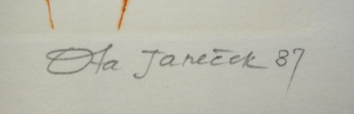 detail