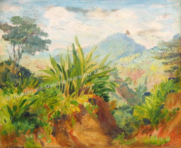 detail