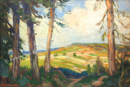 detail