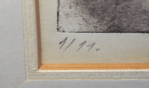 detail