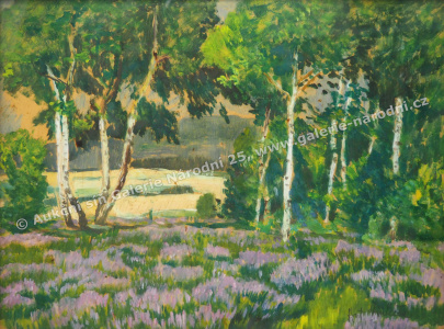 detail
