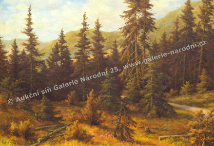 detail