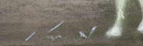 detail