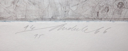 detail