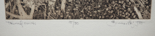 detail