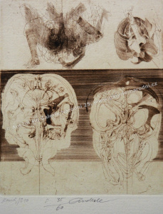 detail