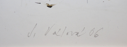 detail