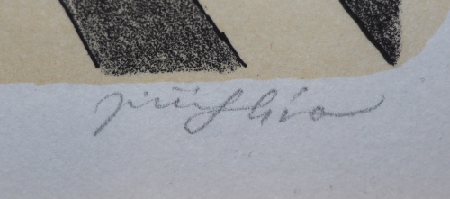 detail