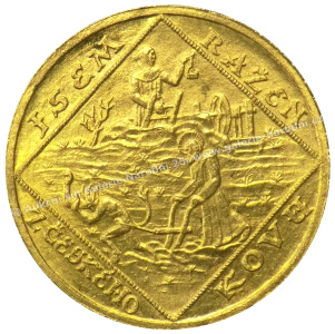 detail