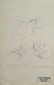 detail
