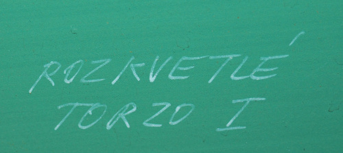 detail
