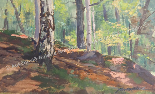 detail