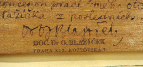 detail