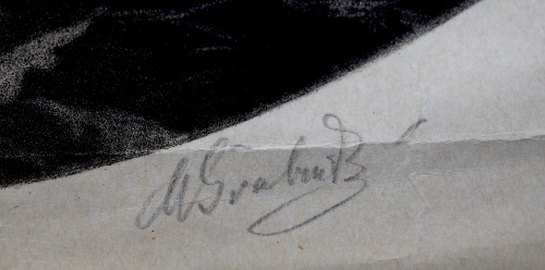 detail