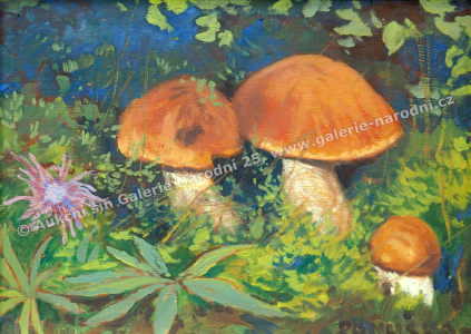 detail