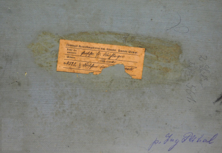 detail