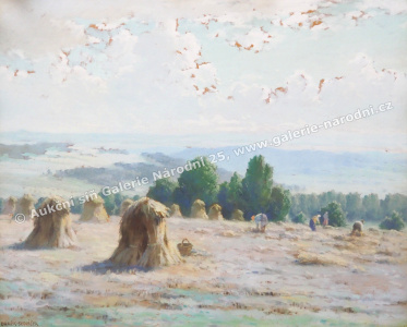 detail
