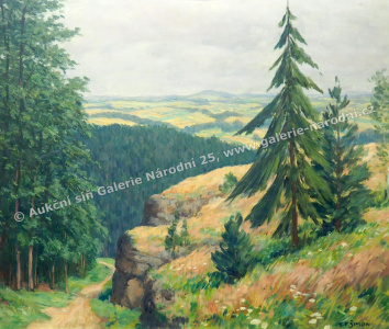 detail